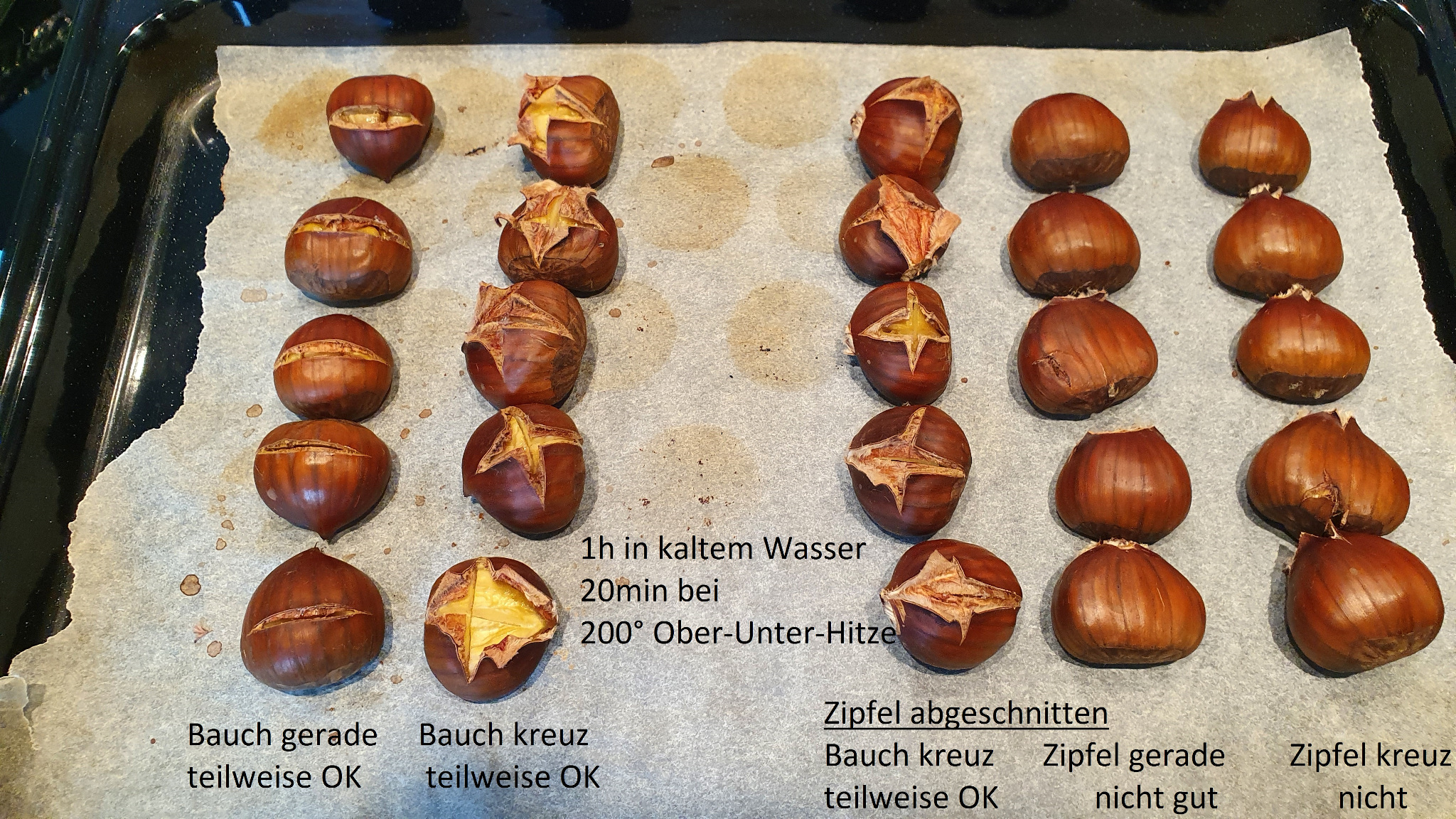 Marroni Experiment